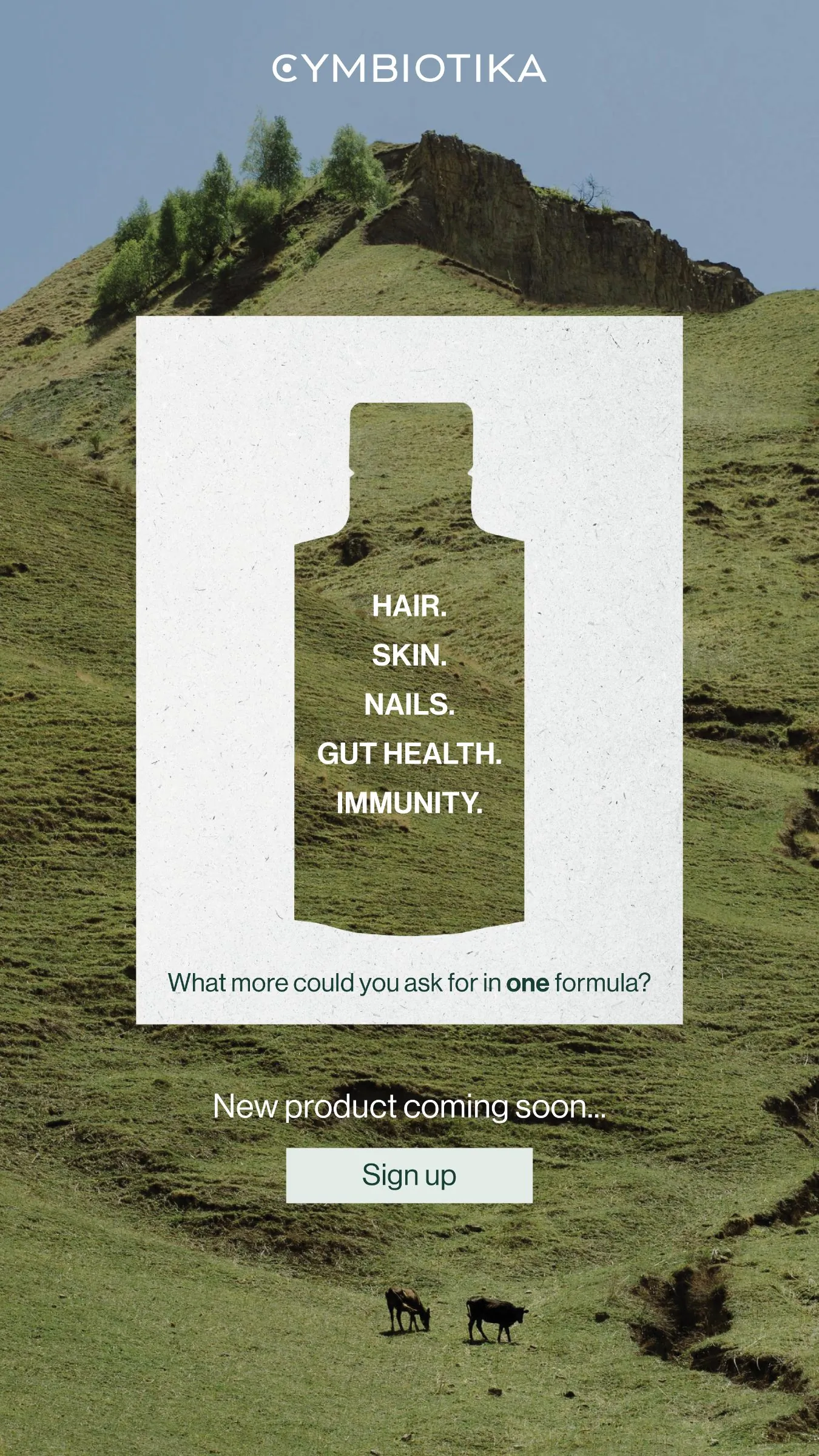 What more could you ask for in one formula?