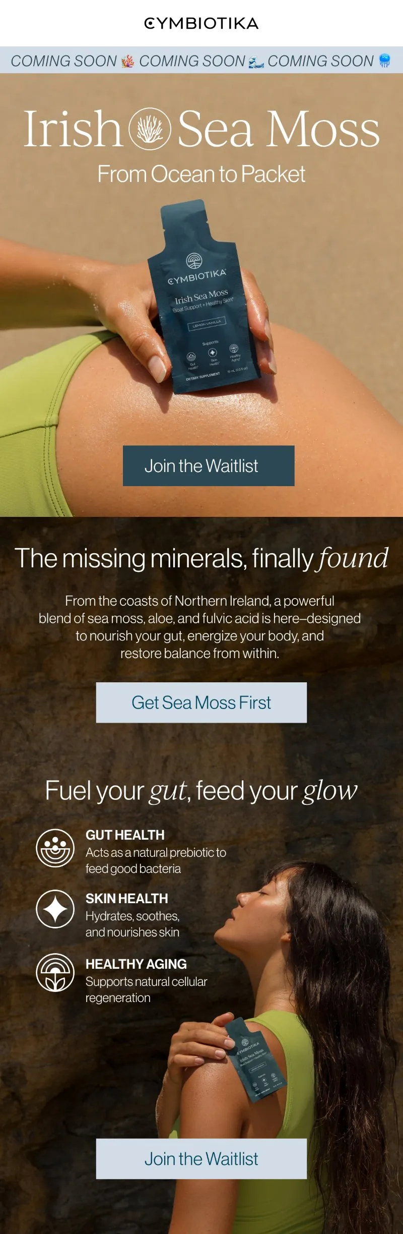 Email: Irish Sea Moss, from ocean to packet