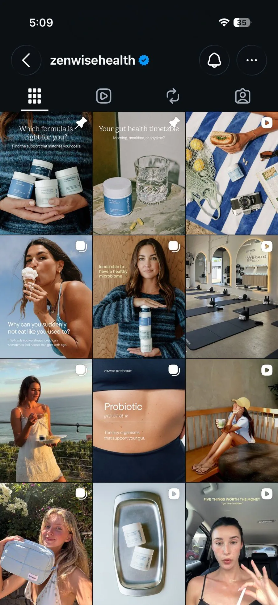 Zenwise Instagram profile grid during the summer campaign